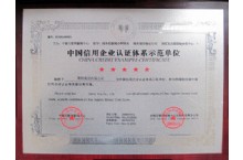 China Credit Enterprise certification system demonstration unit